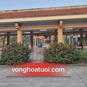 Địa chỉ nhà tang lễ cầu giấy